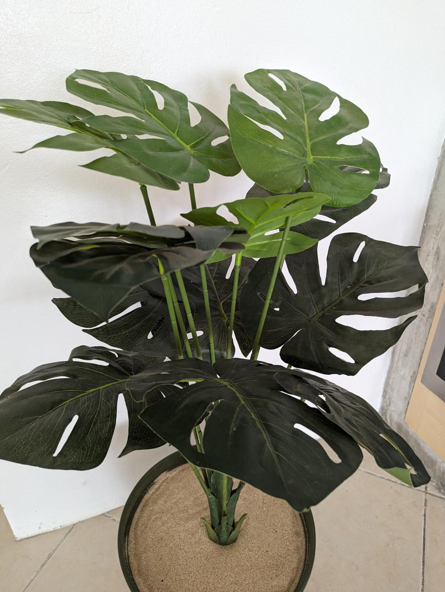 Tropical Leaves Sea View Penthouse Ca Greta 2 Floor Apartment Sal Rei Ngoại thất bức ảnh